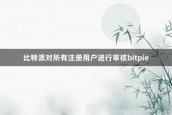 比特派对所有注册用户进行审核bitpie