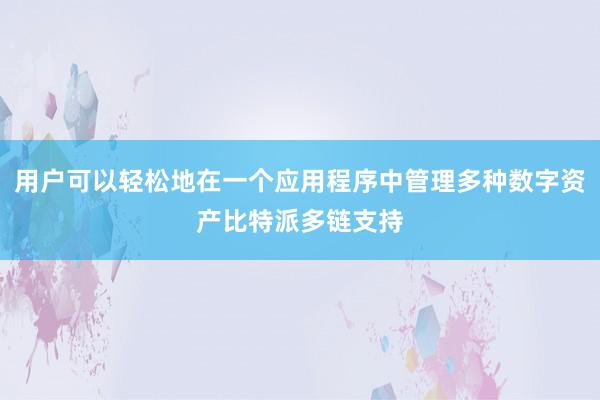 用户可以轻松地在一个应用程序中管理多种数字资产比特派多链支持