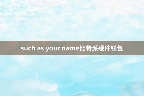 such as your name比特派硬件钱包