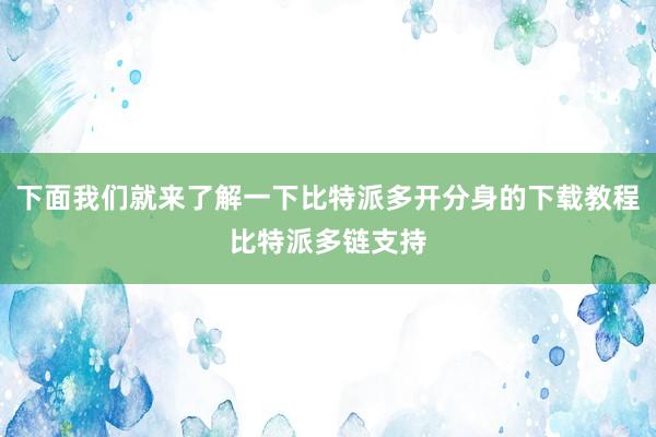 下面我们就来了解一下比特派多开分身的下载教程比特派多链支持