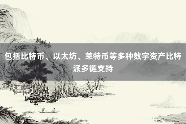 包括比特币、以太坊、莱特币等多种数字资产比特派多链支持