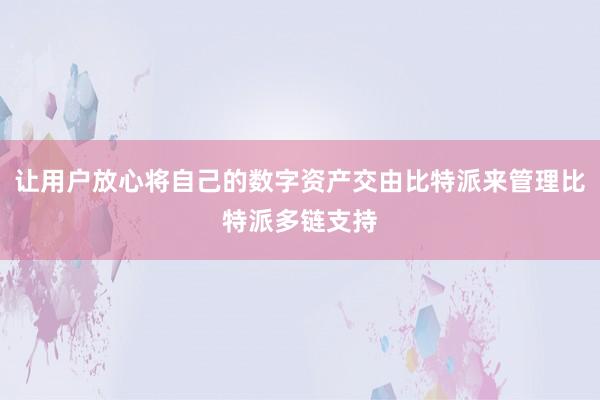 让用户放心将自己的数字资产交由比特派来管理比特派多链支持