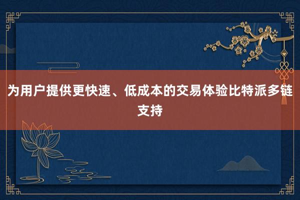 为用户提供更快速、低成本的交易体验比特派多链支持