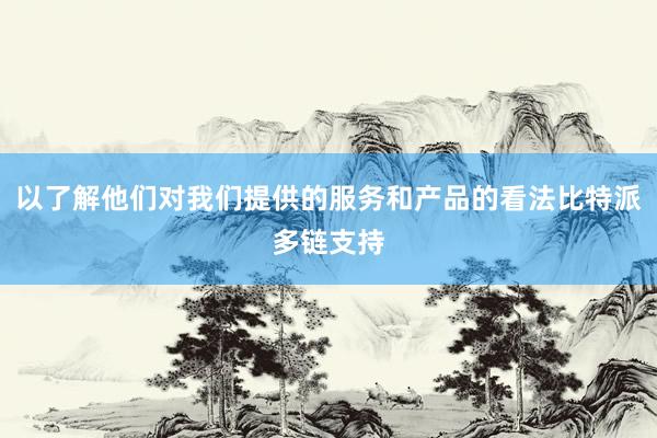 以了解他们对我们提供的服务和产品的看法比特派多链支持