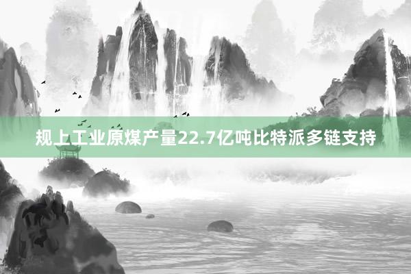 规上工业原煤产量22.7亿吨比特派多链支持