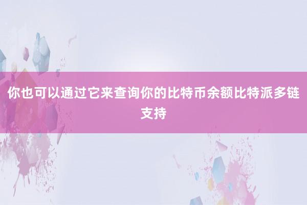 你也可以通过它来查询你的比特币余额比特派多链支持