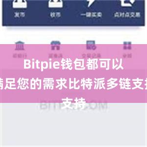 Bitpie钱包都可以满足您的需求比特派多链支持