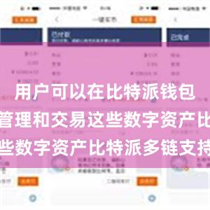 用户可以在比特派钱包中方便地管理和交易这些数字资产比特派多链支持