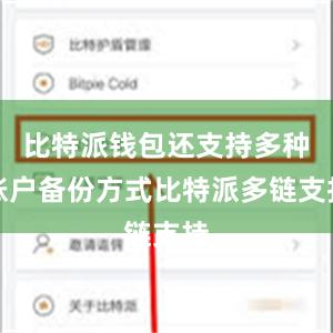 比特派钱包还支持多种账户备份方式比特派多链支持