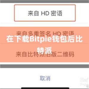 在下载Bitpie钱包后比特派