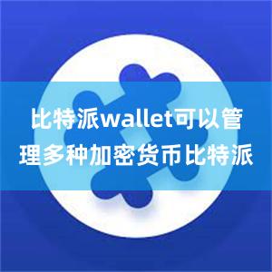 比特派wallet可以管理多种加密货币比特派