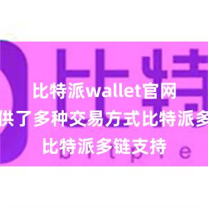 比特派wallet官网版还提供了多种交易方式比特派多链支持